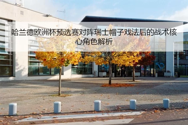 哈兰德欧洲杯预选赛对阵瑞士帽子戏法后的战术核心角色解析