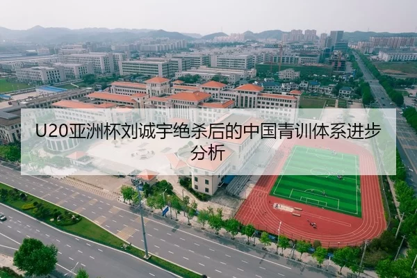 U20亚洲杯刘诚宇绝杀后的中国青训体系进步分析